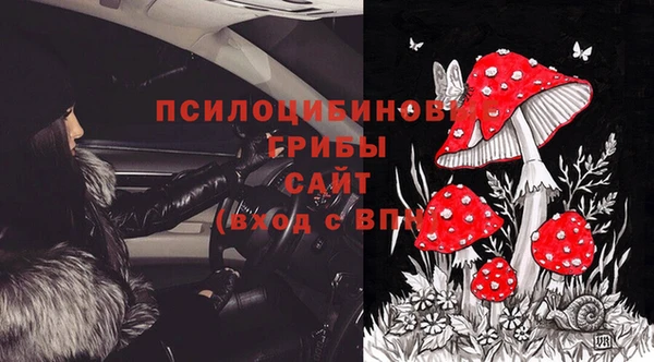 круглые Зеленокумск
