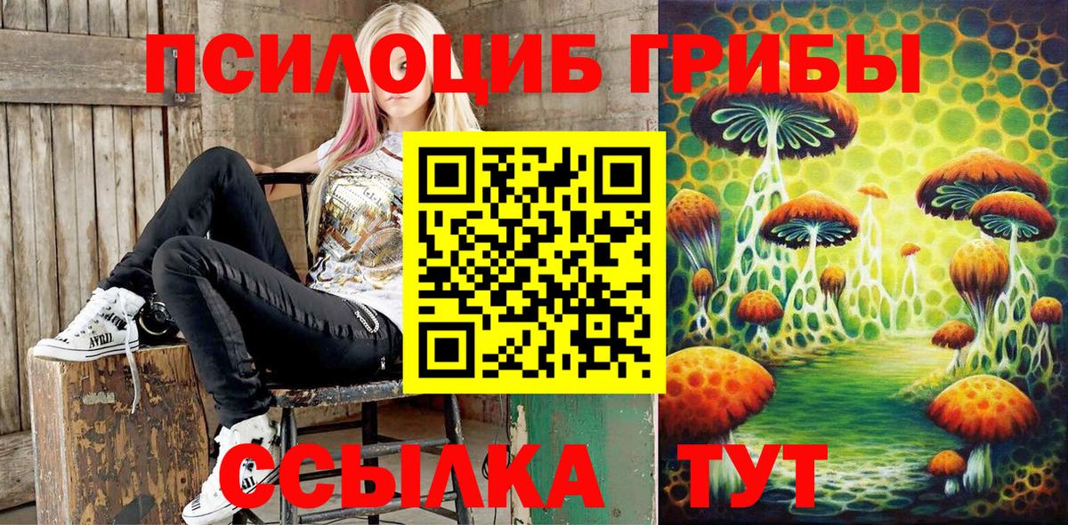 Псилоцибиновые грибы ЛСД  Ессентуки 