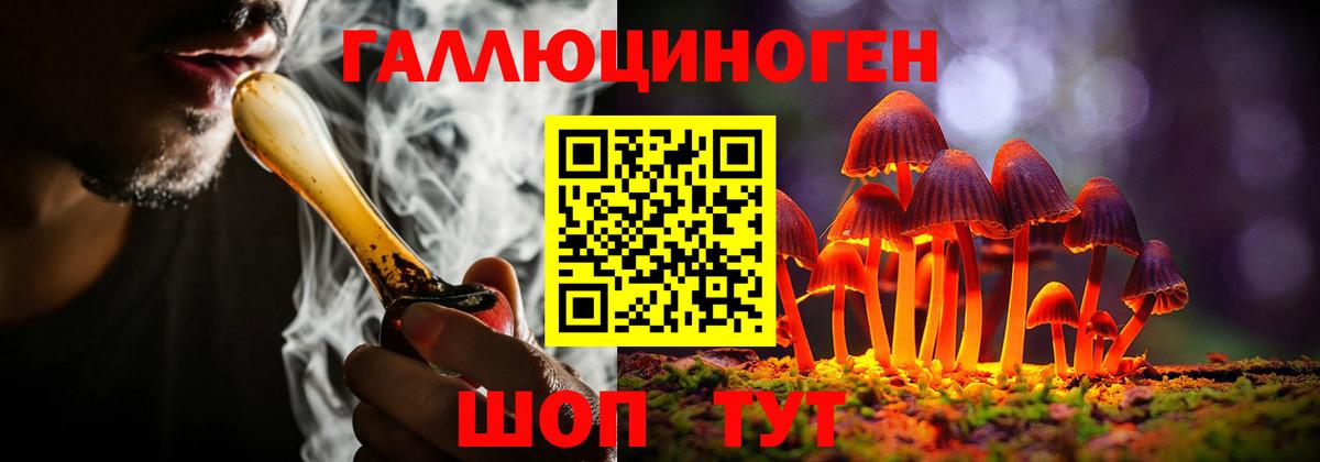 Псилоцибиновые грибы Psilocybe  Вход с VPN  Ессентуки 