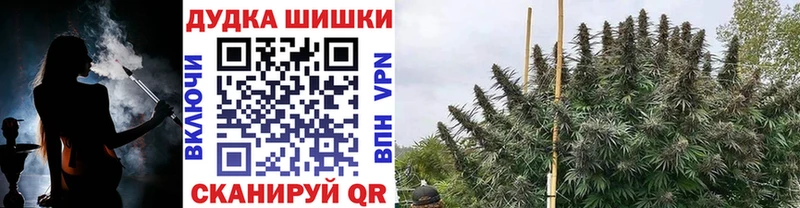 Шишки марихуана планчик Ессентуки