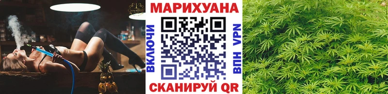 Бошки марихуана SATIVA & INDICA  Ессентуки 